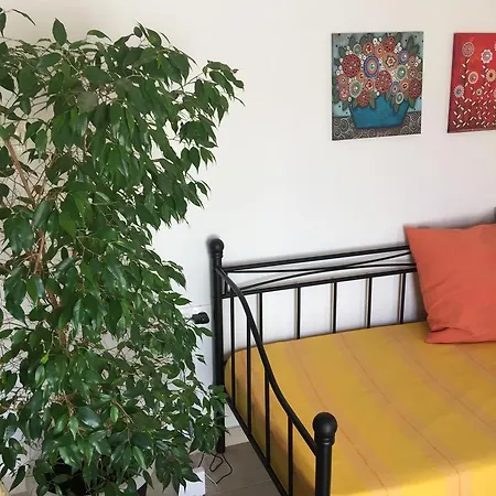 Summer Knights Apartment