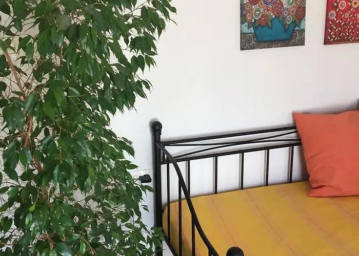 Summer Knights Apartamento